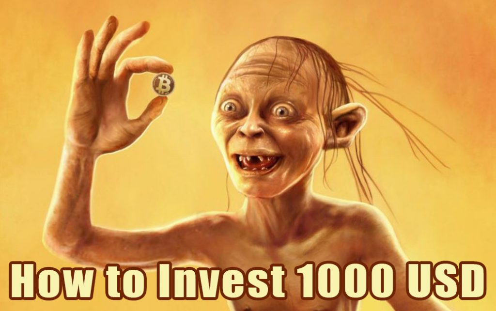 Bitcoin prețiosul meu cum să investesc 1000 USD