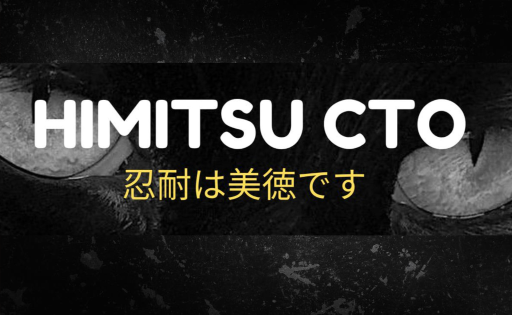 How to Buy Himitsu Token (HIM)