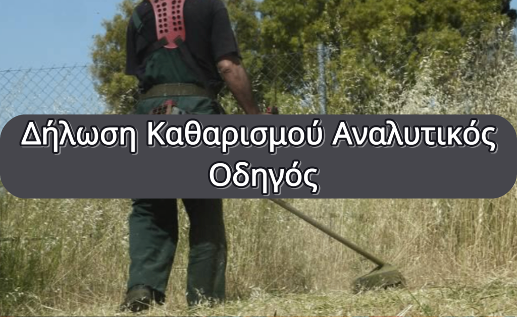 Δήλωση Καθαρισμού Αναλυτικός Οδηγός